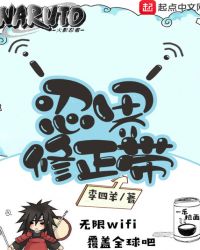 My Ninja World Correction System